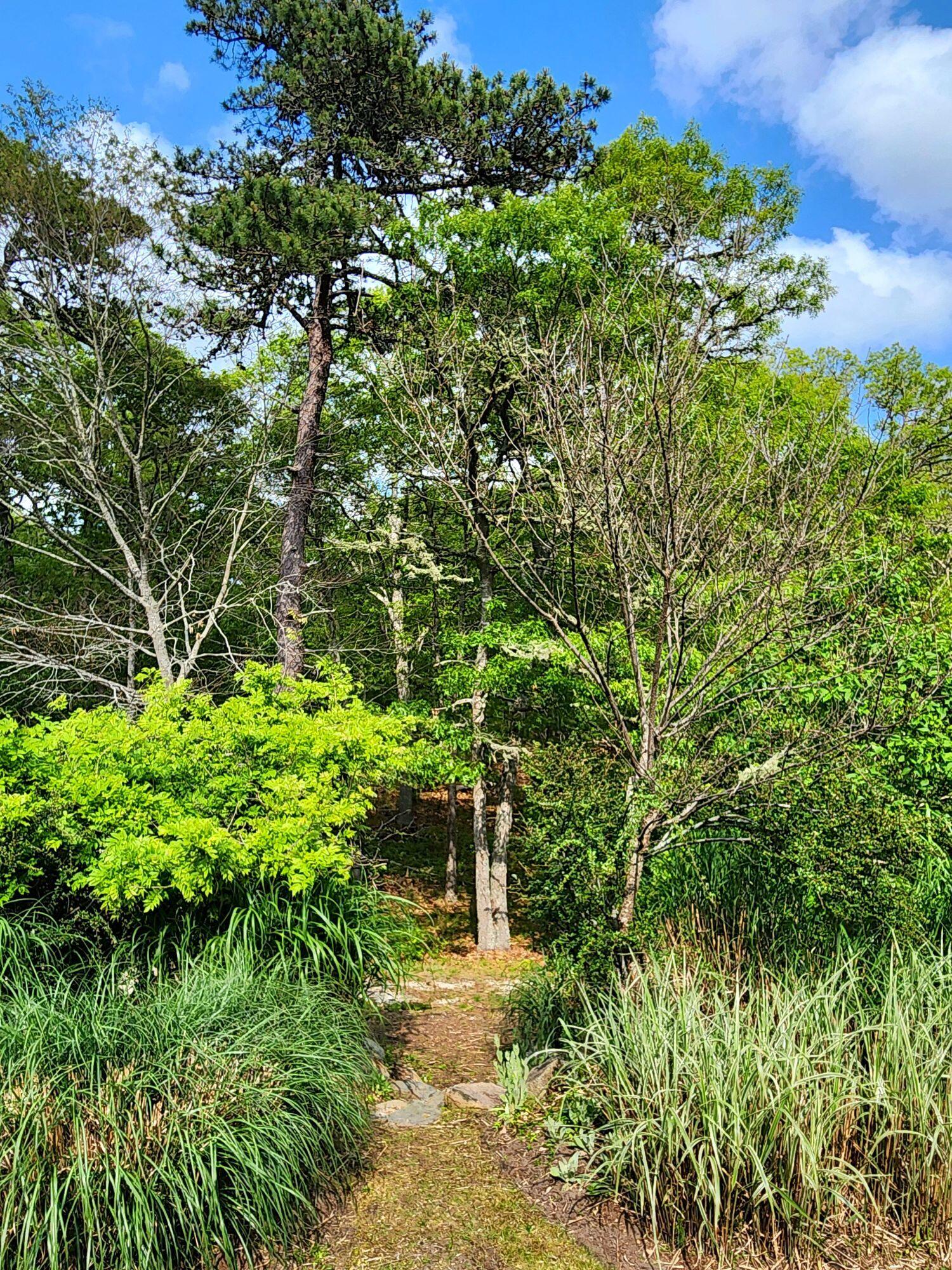 988 Crowells Bog Road Brewster MA 02631