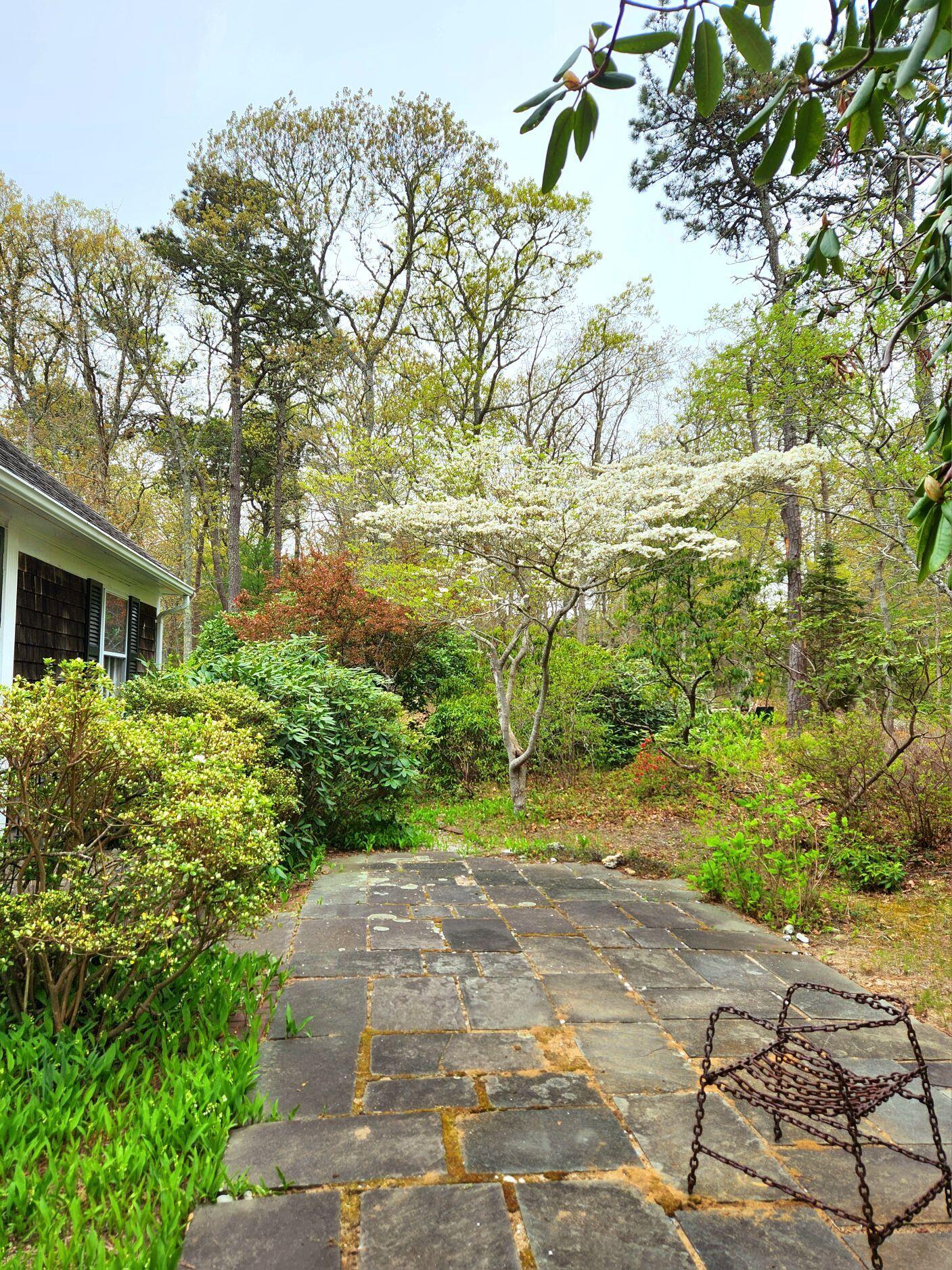 988 Crowells Bog Road Brewster MA 02631