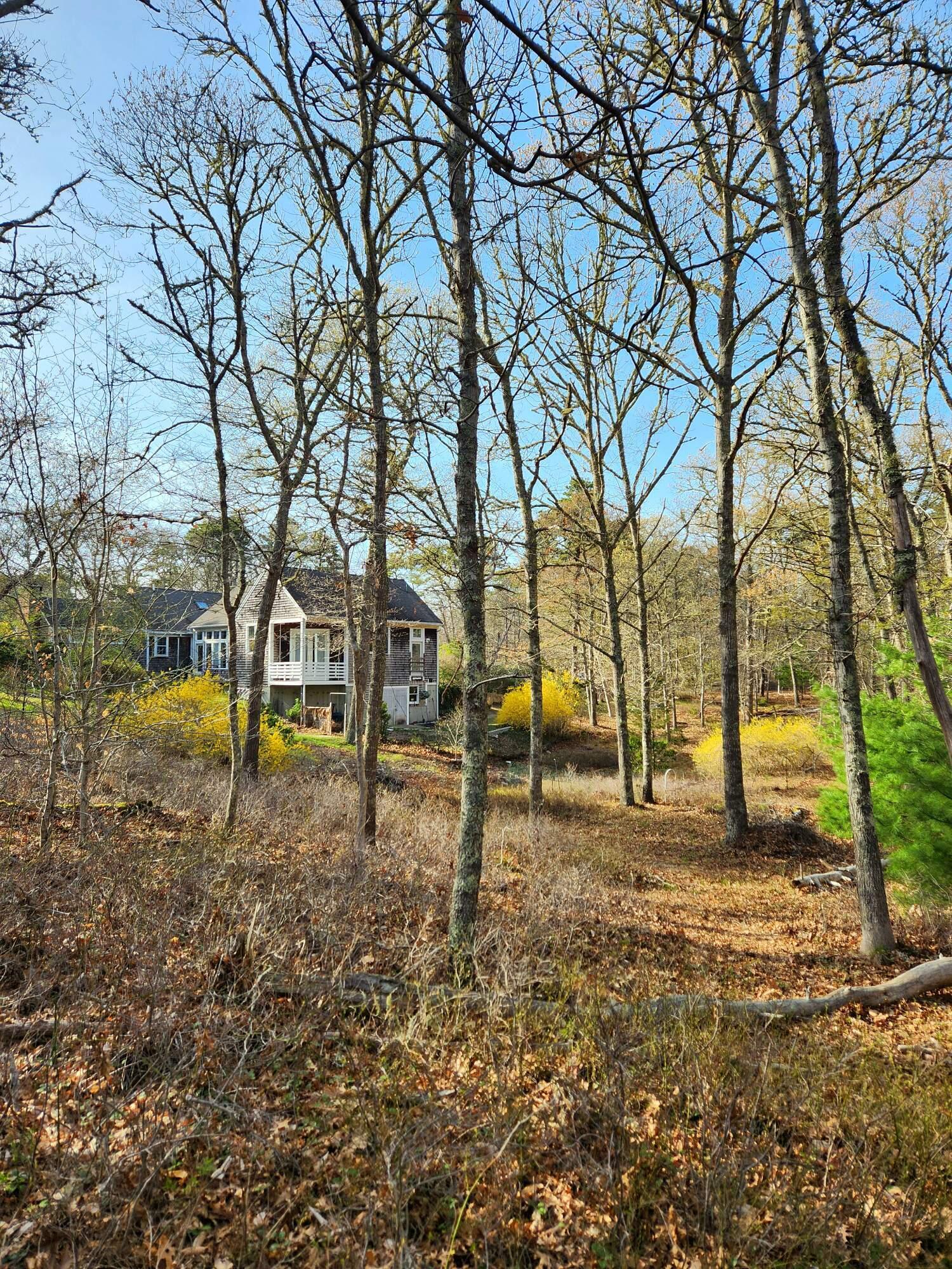 988 Crowells Bog Road Brewster MA 02631