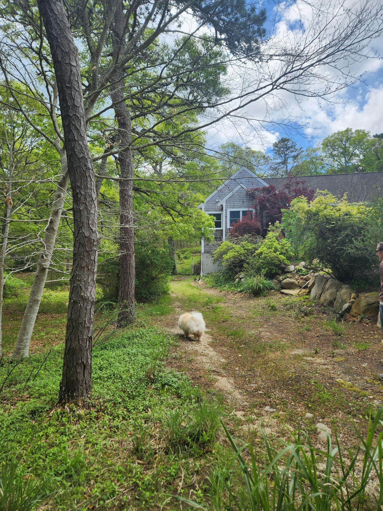 988 Crowells Bog Road Brewster MA 02631