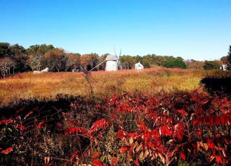 988 Crowells Bog Road Brewster MA 02631