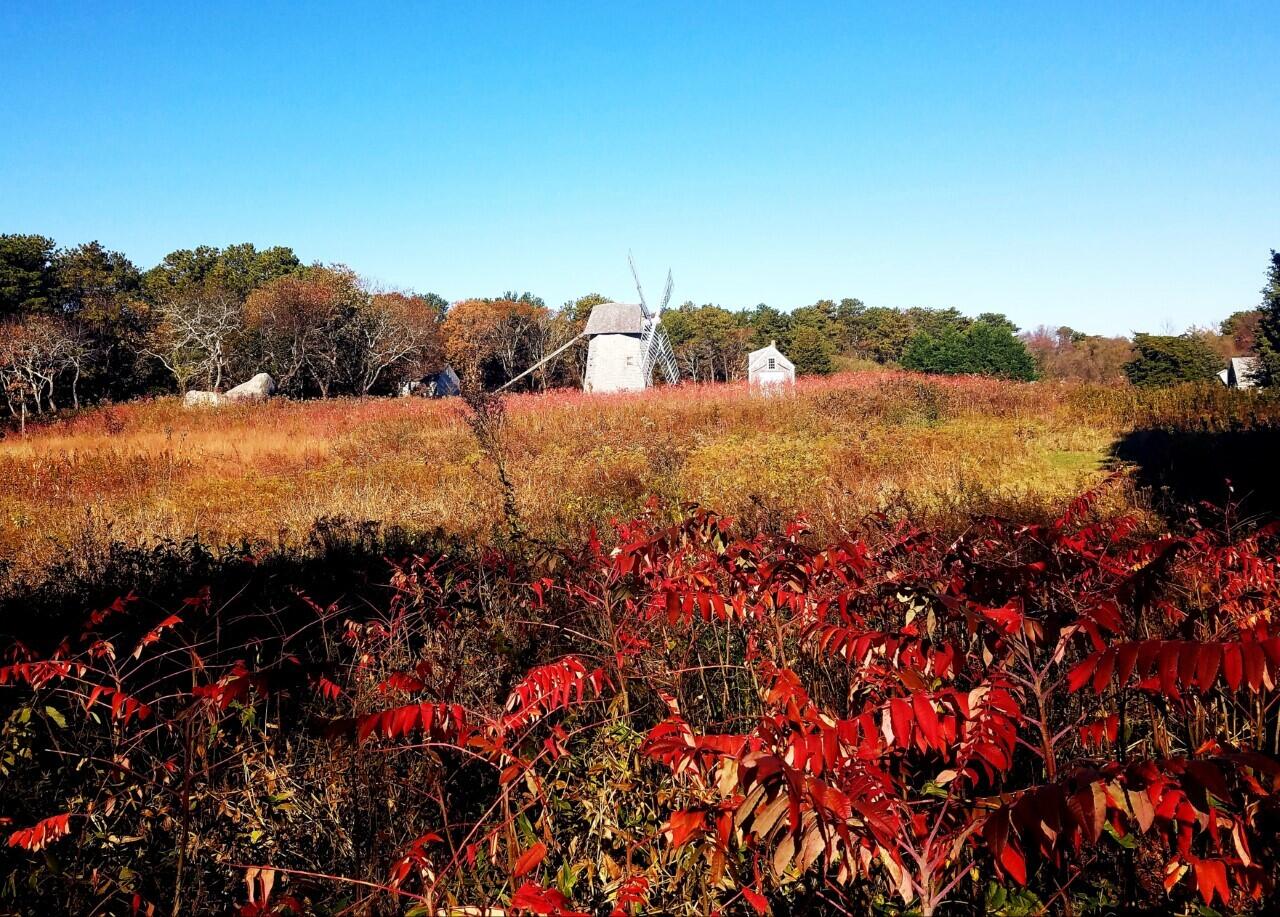 988 Crowells Bog Road Brewster MA 02631