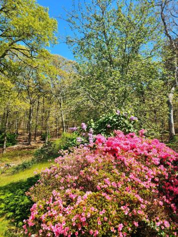 988 Crowells Bog Road Brewster MA 02631