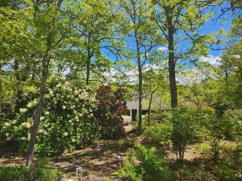 988 Crowells Bog Road Brewster MA 02631