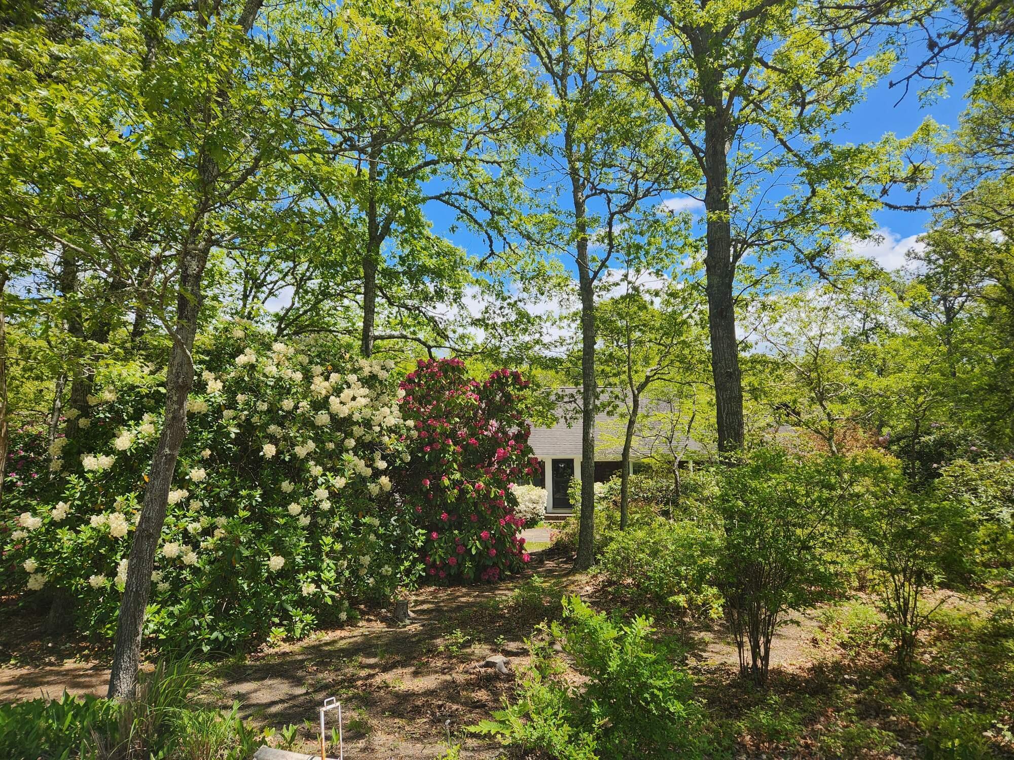 988 Crowells Bog Road Brewster MA 02631
