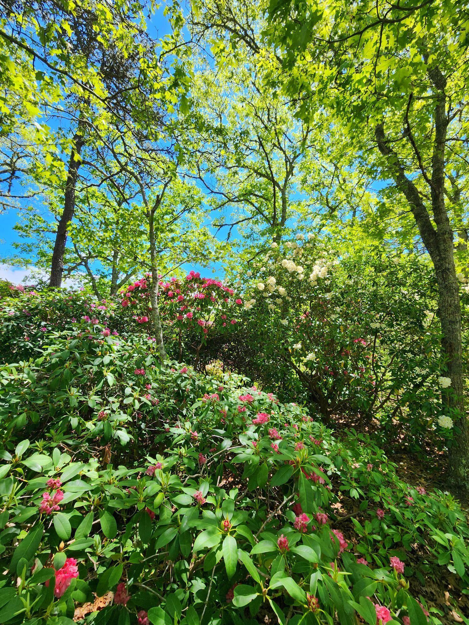988 Crowells Bog Road Brewster MA 02631