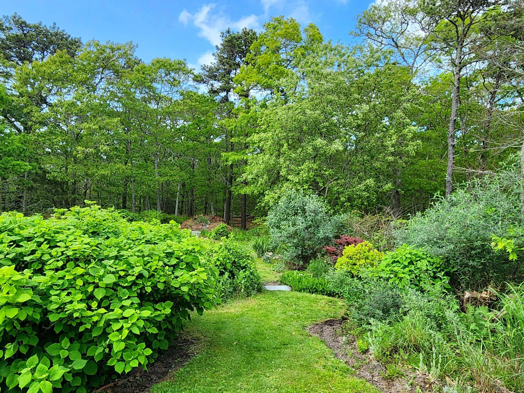 988 Crowells Bog Road Brewster MA 02631