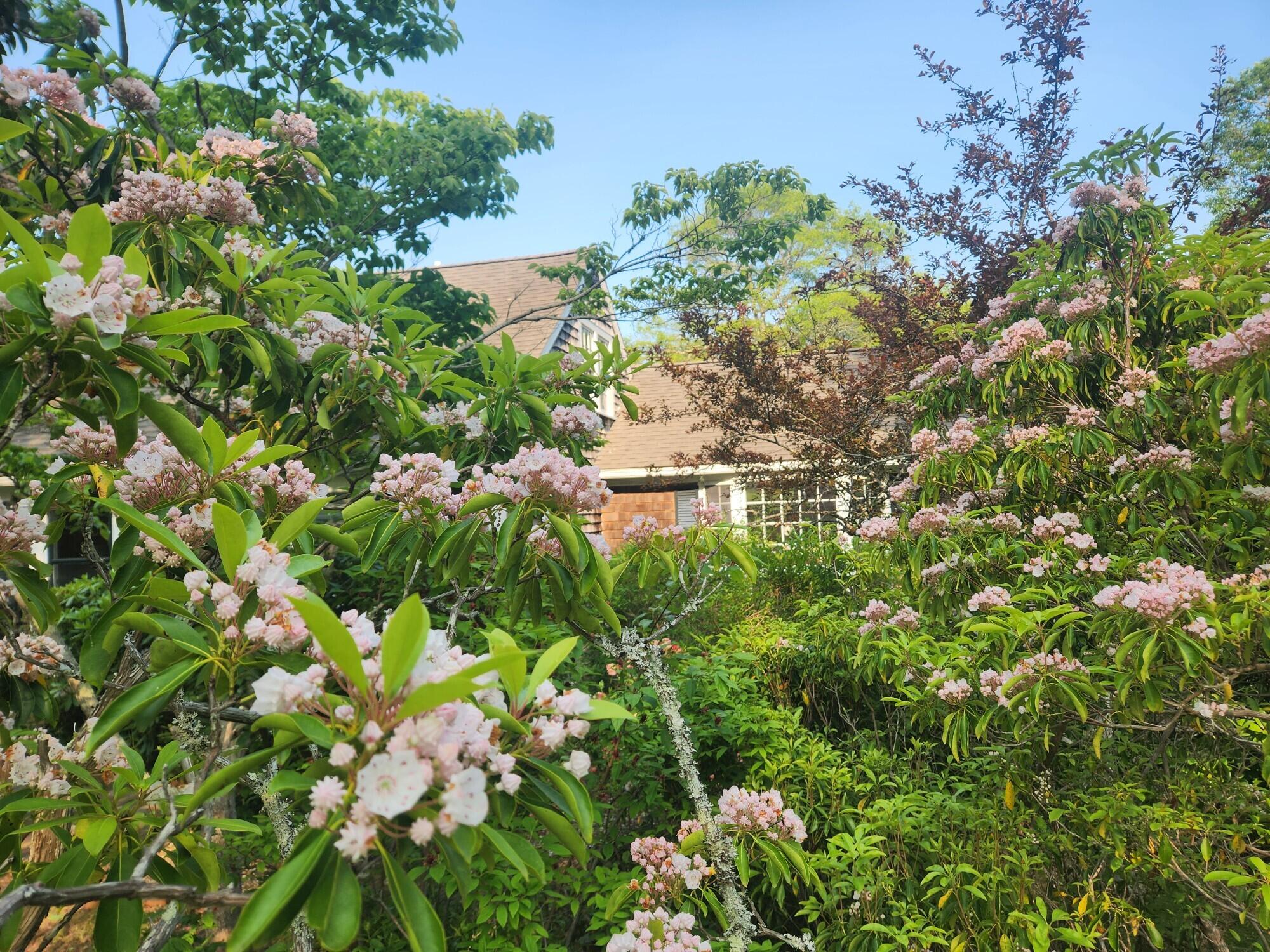 988 Crowells Bog Road Brewster MA 02631
