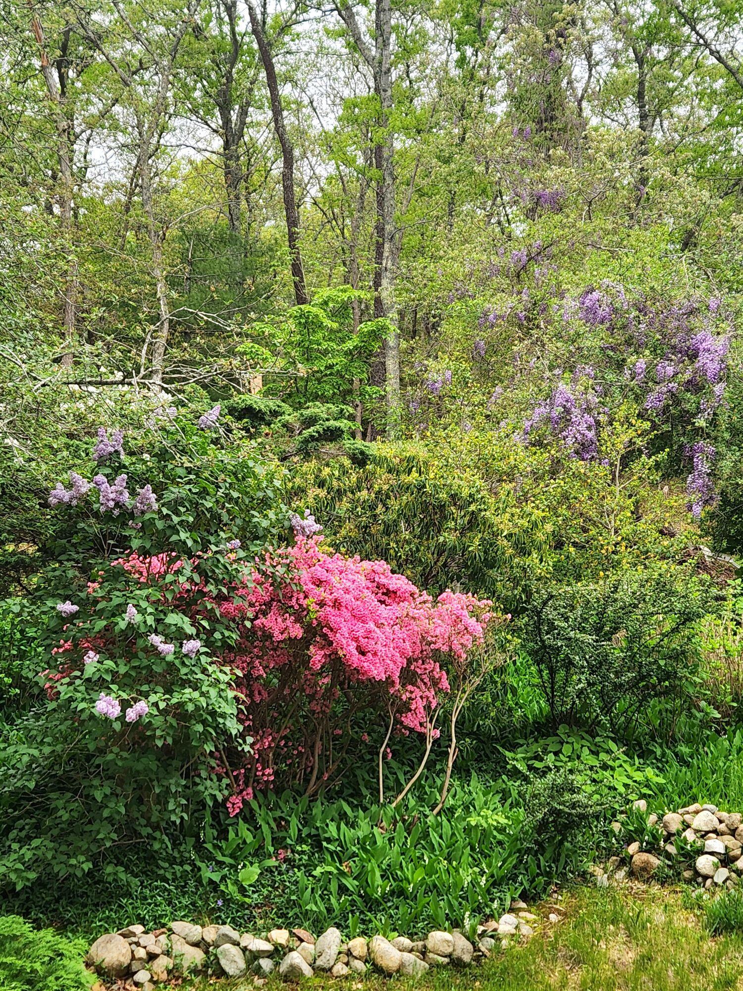 988 Crowells Bog Road Brewster MA 02631