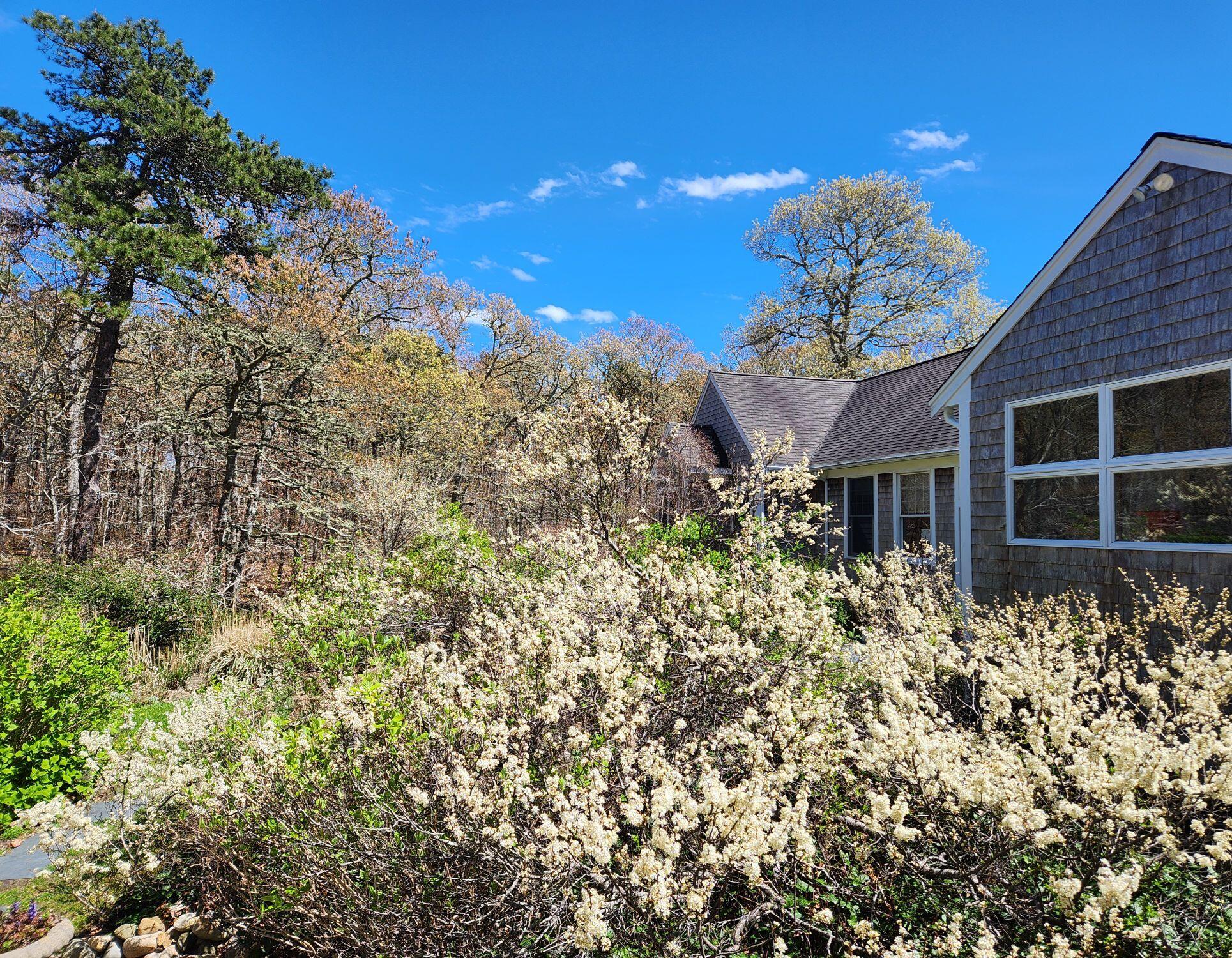 988 Crowells Bog Road Brewster MA 02631