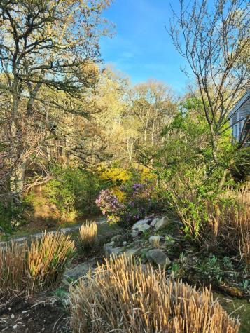 988 Crowells Bog Road Brewster MA 02631