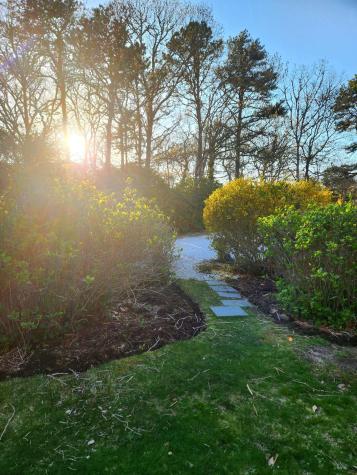 988 Crowells Bog Road Brewster MA 02631