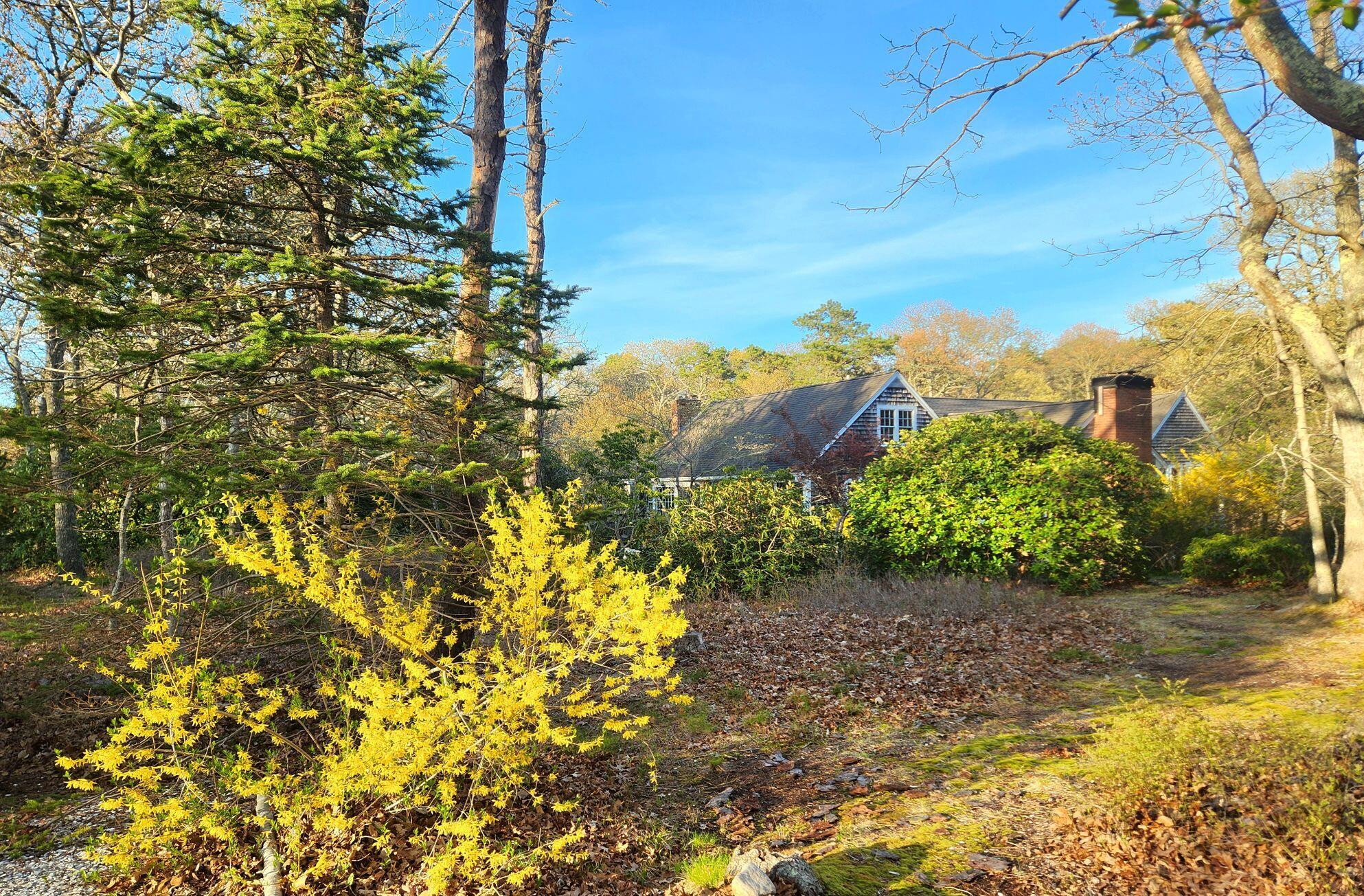 988 Crowells Bog Road Brewster MA 02631
