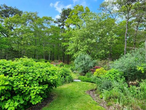 988 Crowells Bog Road Brewster MA 02631