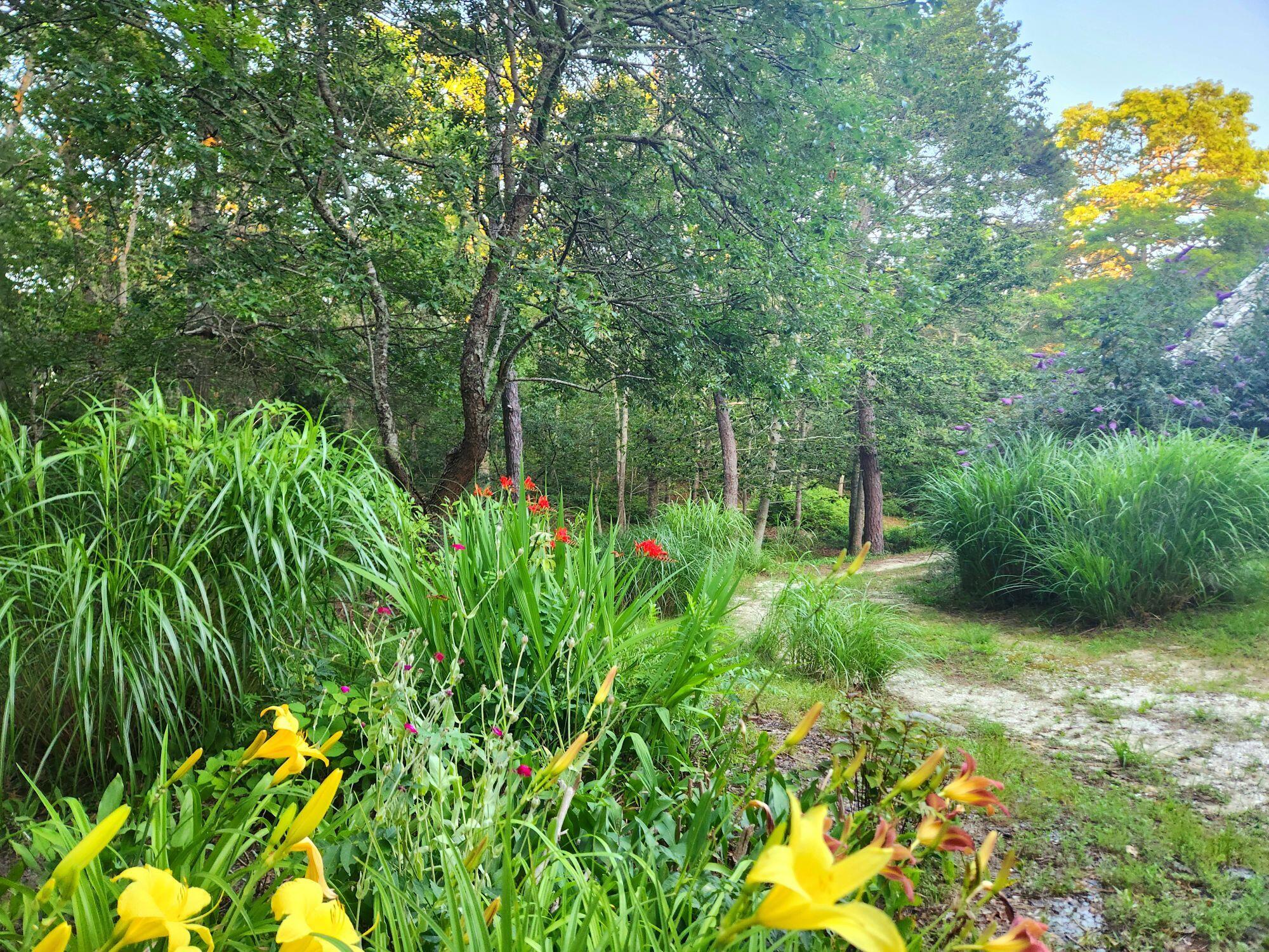 988 Crowells Bog Road Brewster MA 02631