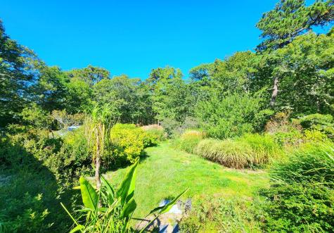 988 Crowells Bog Road Brewster MA 02631