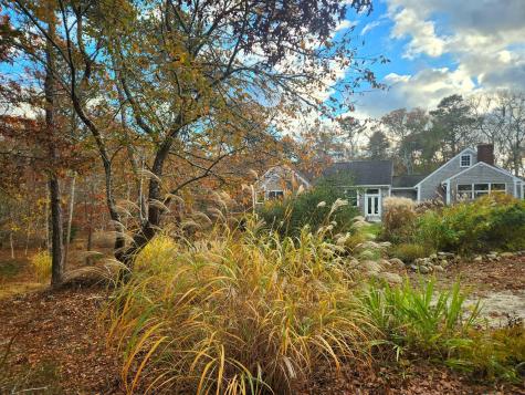 988 Crowells Bog Road Brewster MA 02631