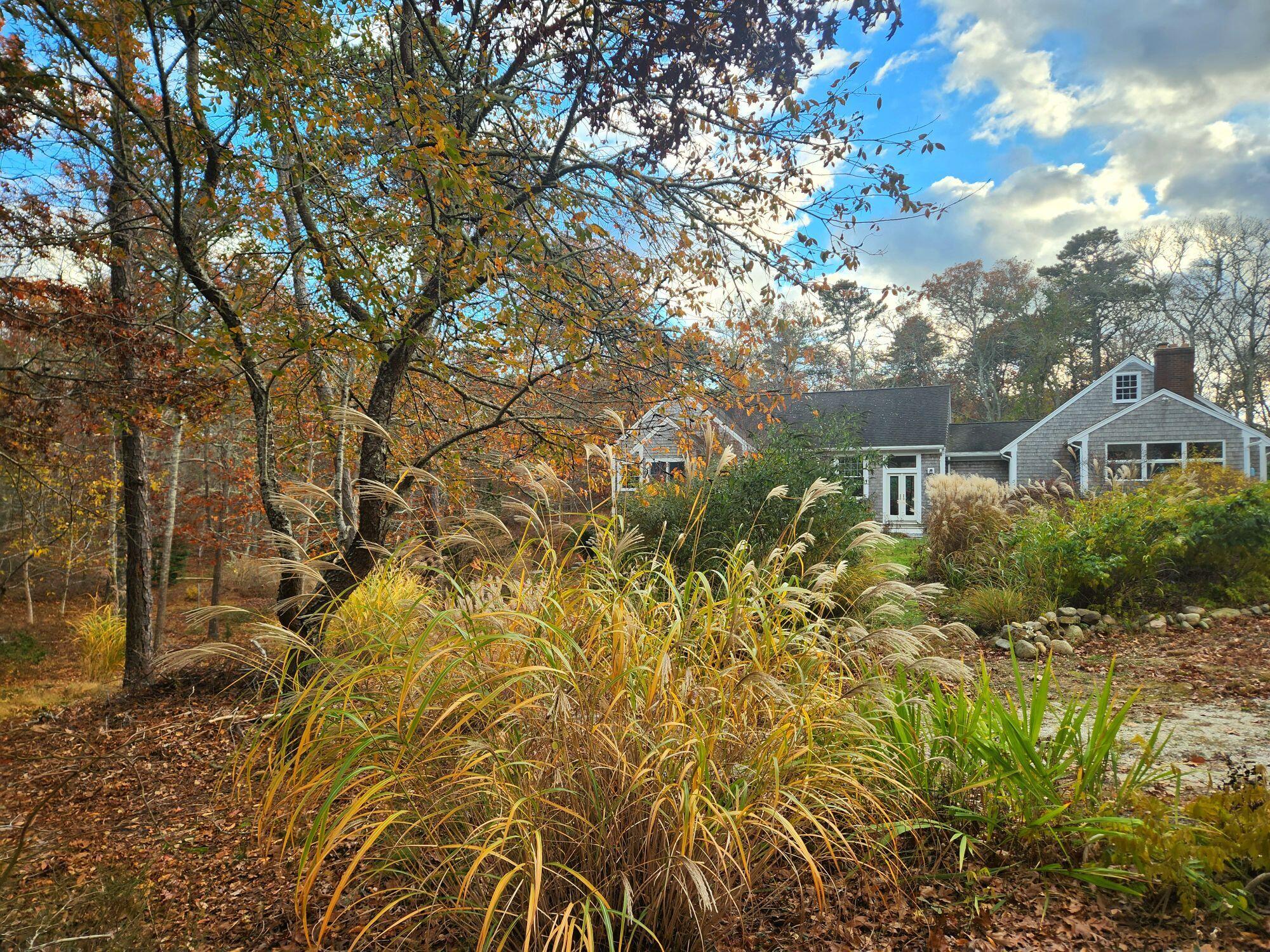 988 Crowells Bog Road Brewster MA 02631