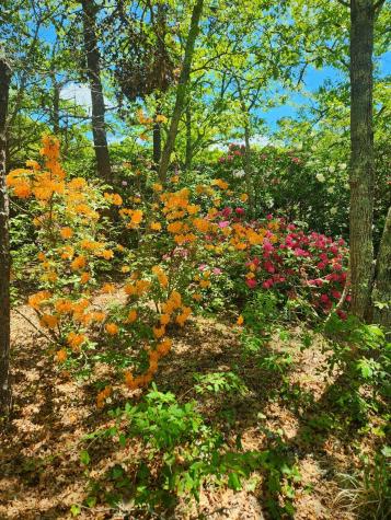 988 Crowells Bog Road Brewster MA 02631