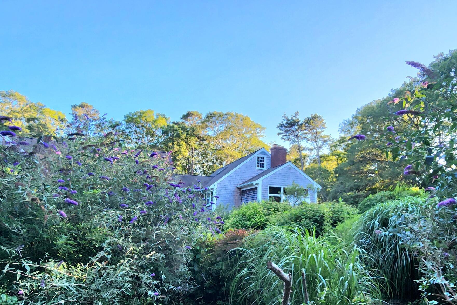 988 Crowells Bog Road Brewster MA 02631