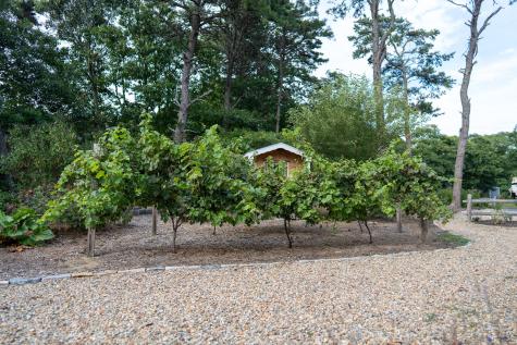 85 Jennie Clark Road Eastham MA 02642