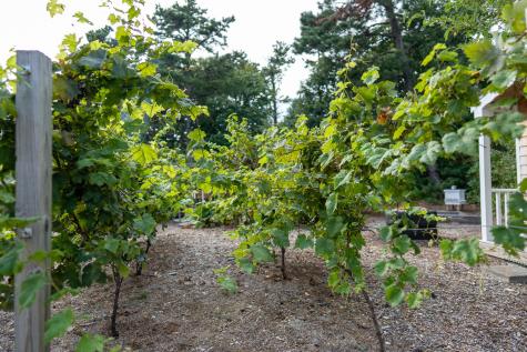 85 Jennie Clark Road Eastham MA 02642