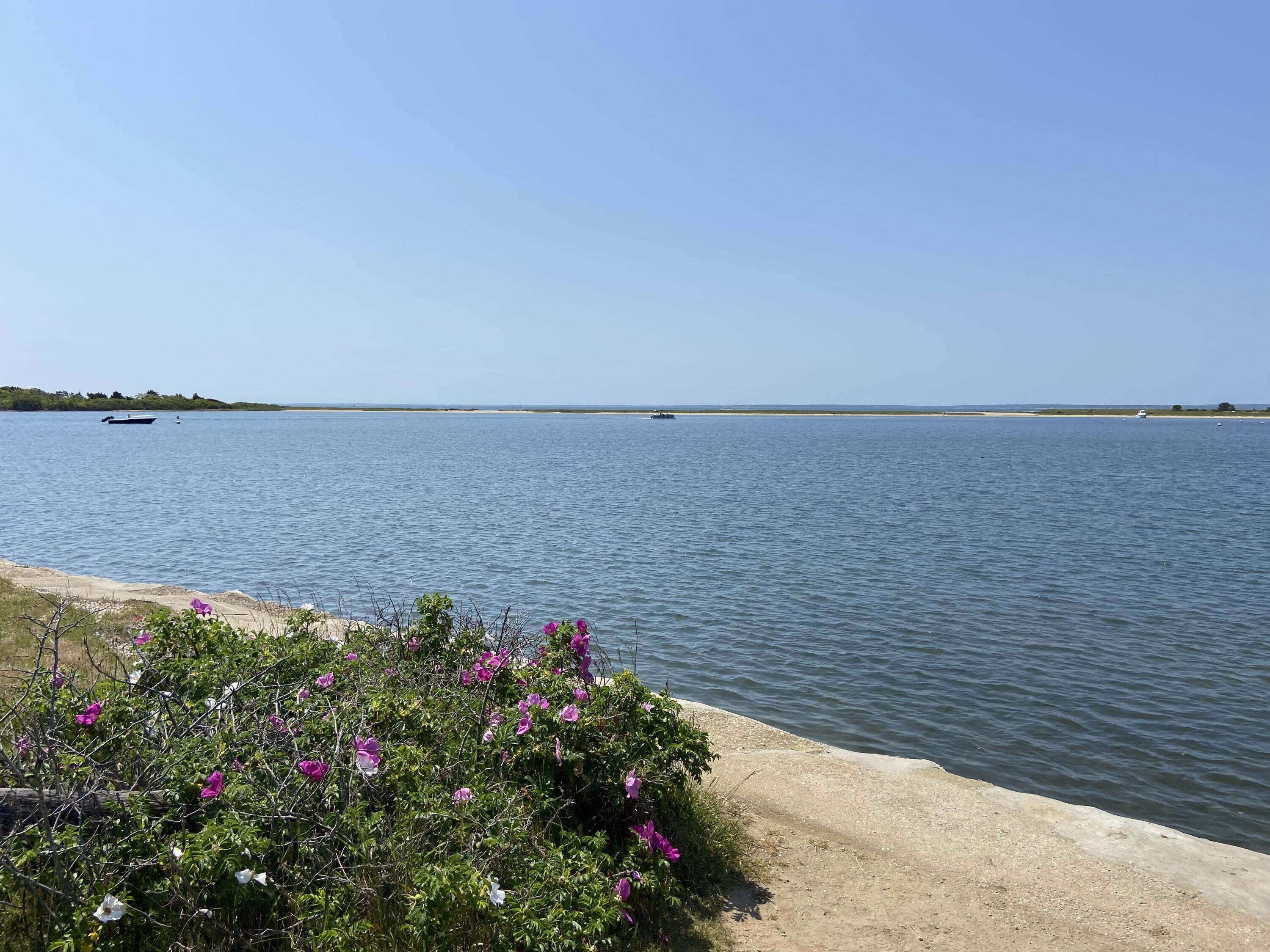 19 Pine Rock Road Falmouth MA 02536