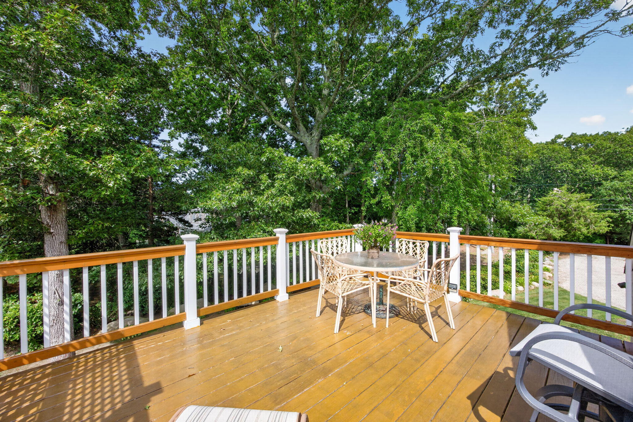 16 Jetty Lane Falmouth MA 02540