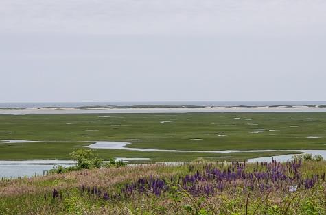 80 Runway Lane Eastham MA 02642