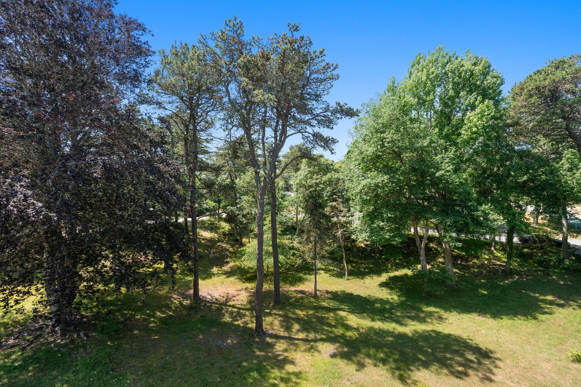 55 Winterset Drive Chatham MA 02633