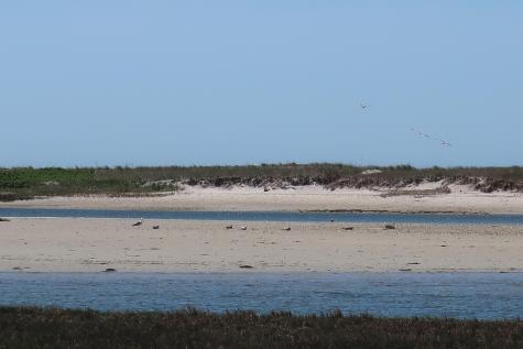 140 Sixth Avenue West Hyannisport MA 02672