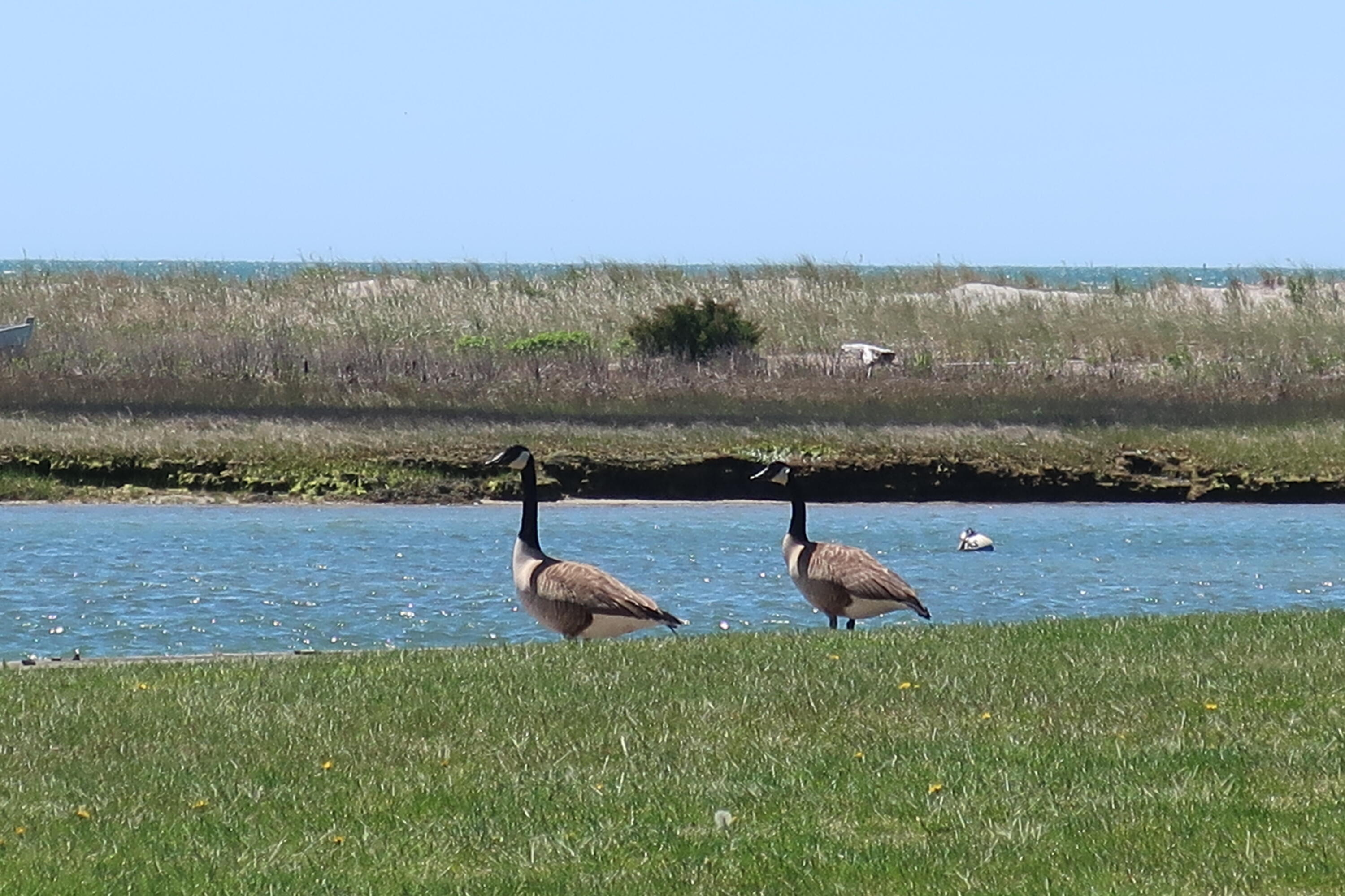 140 Sixth Avenue West Hyannisport MA 02672