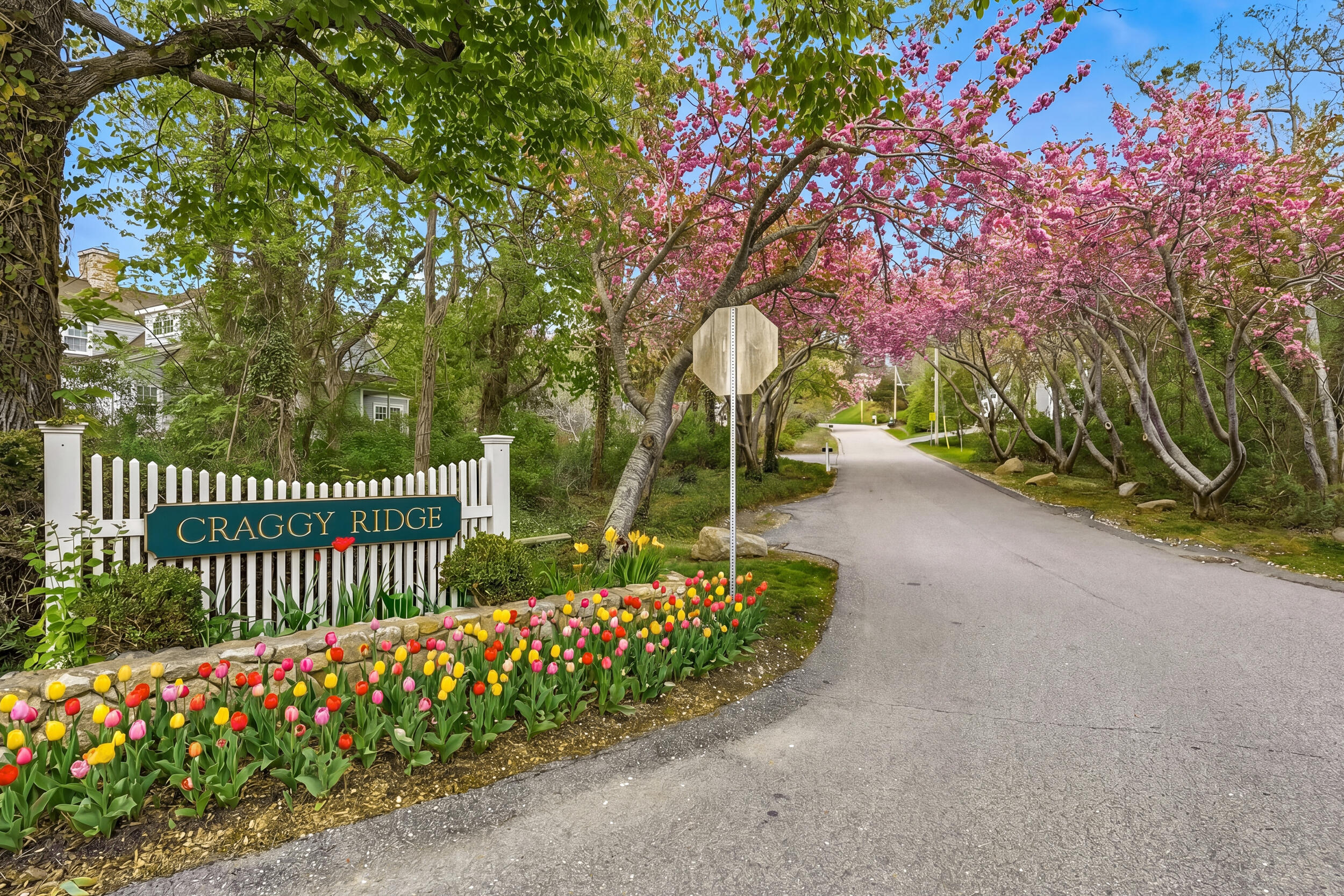 55 Ridgeview Drive Falmouth MA 02540