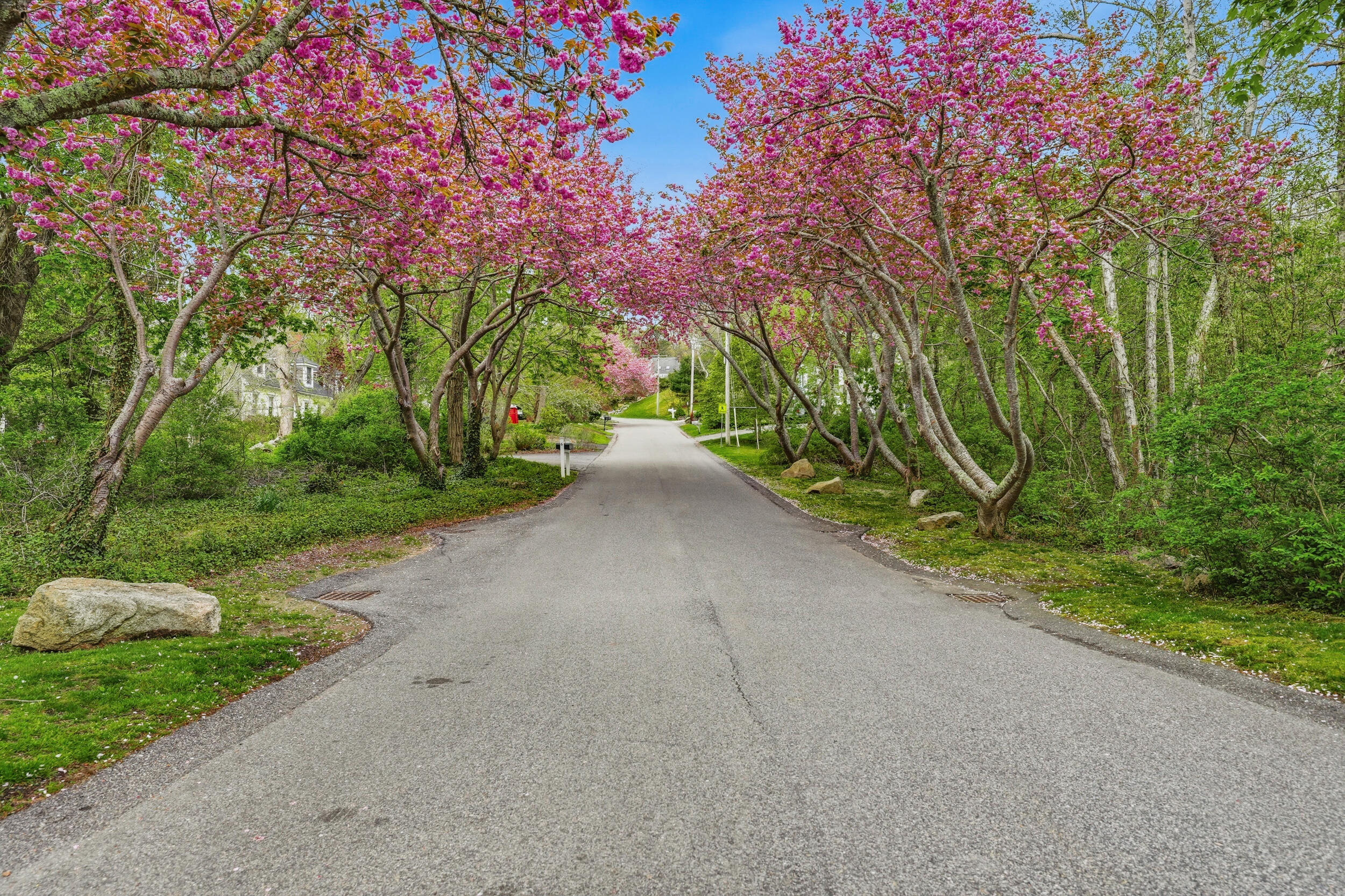 55 Ridgeview Drive Falmouth MA 02540