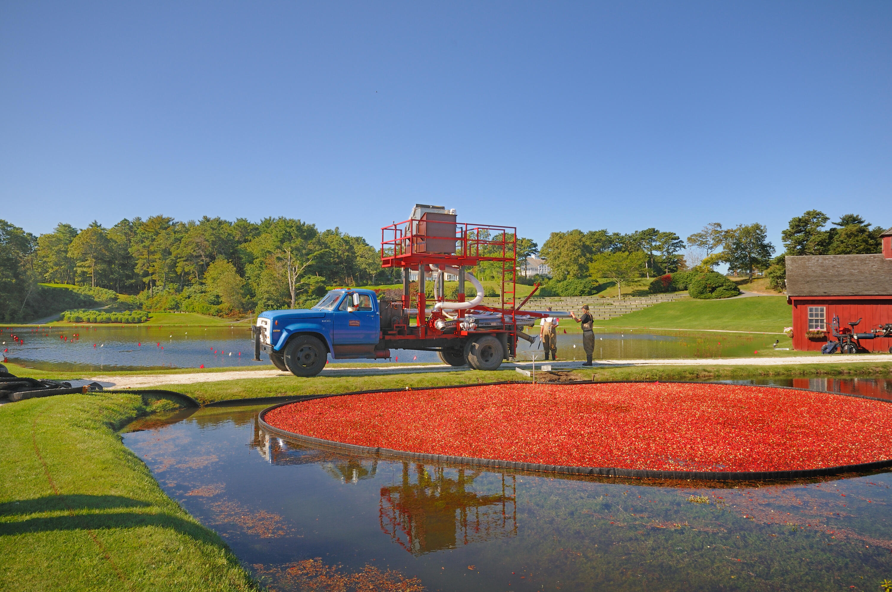 77 The Heights Mashpee MA 02649