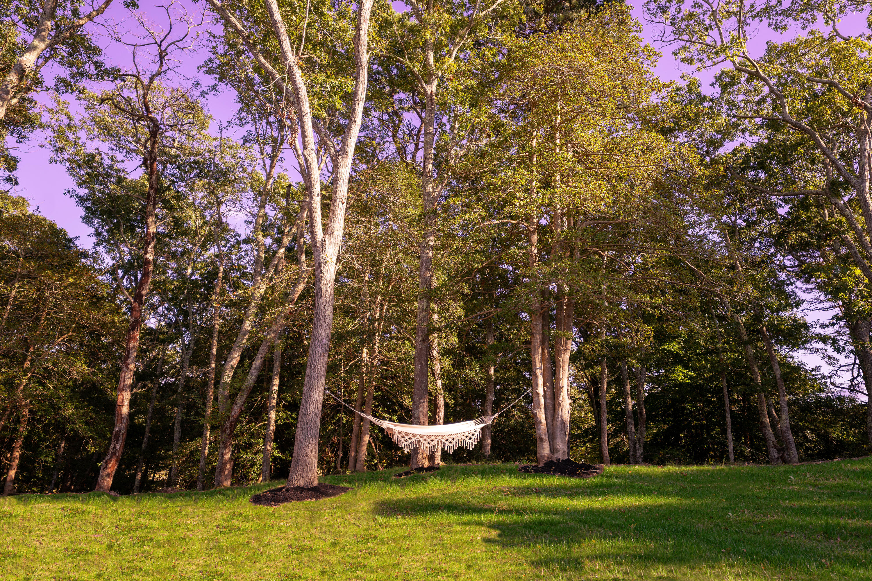 29 Summerwind Lane Barnstable MA 02668