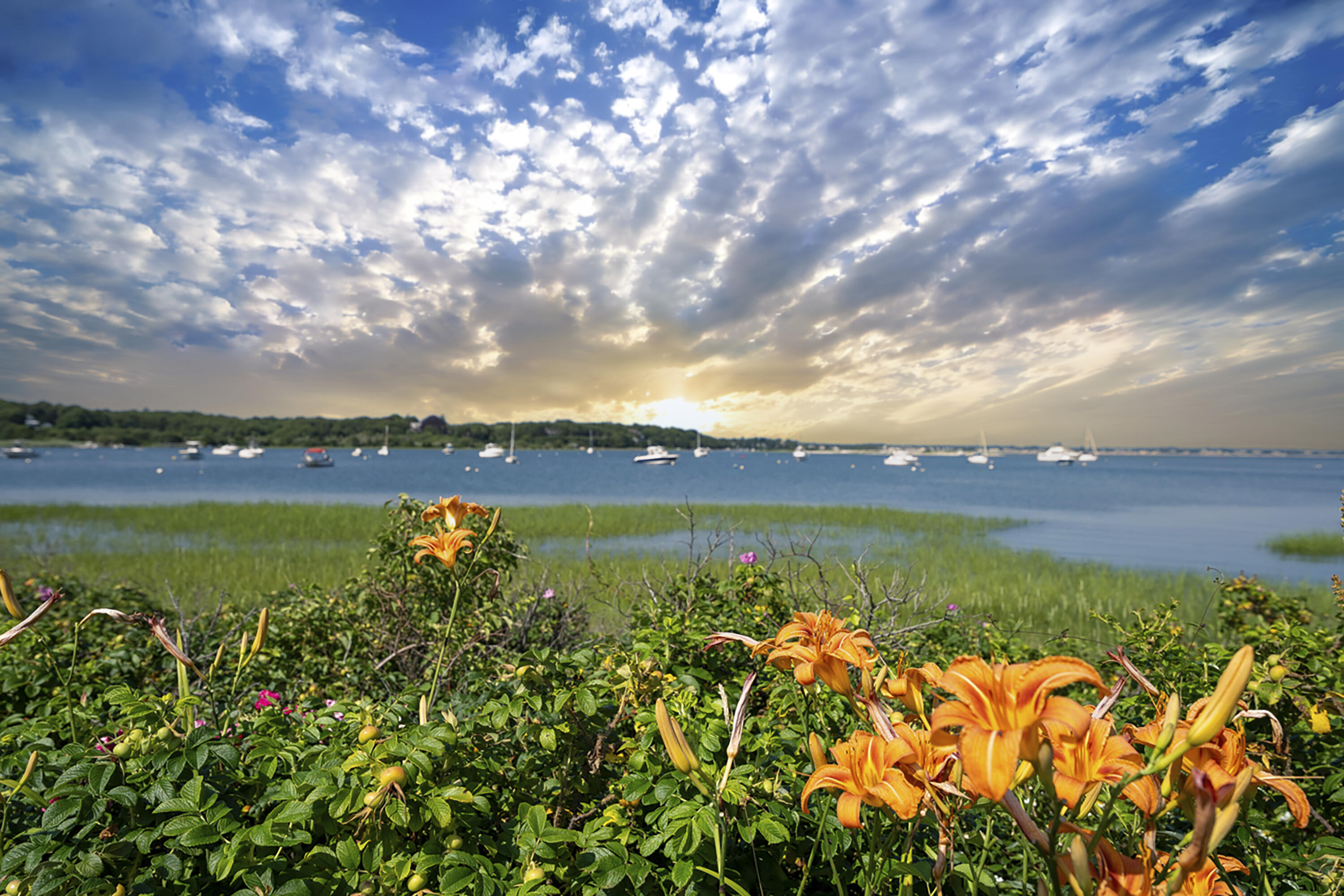 29 Summerwind Lane Barnstable MA 02668