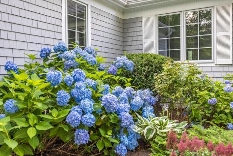 111 Reflection Drive Sandwich MA 02563