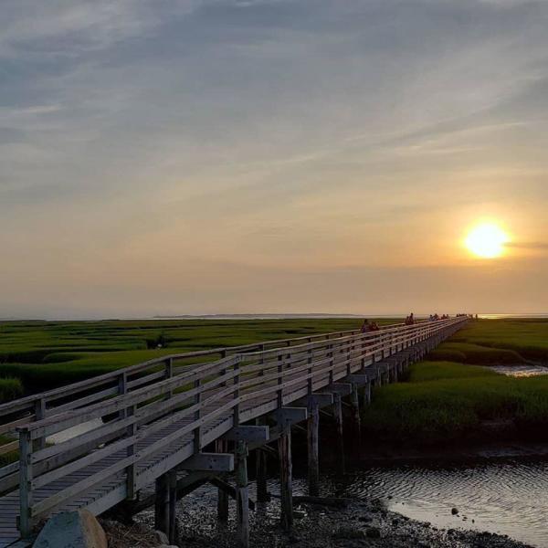 4 Cowslip Path Sandwich MA 02537