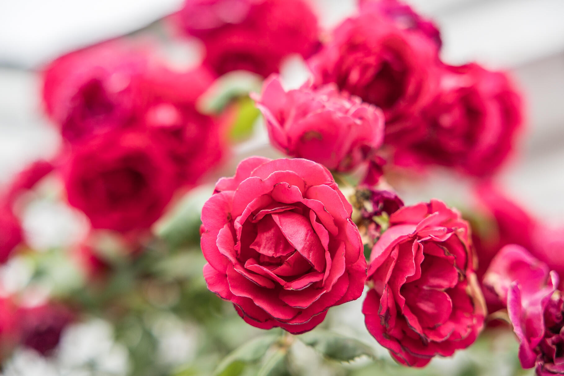 645 S Orleans Road Orleans MA 02653