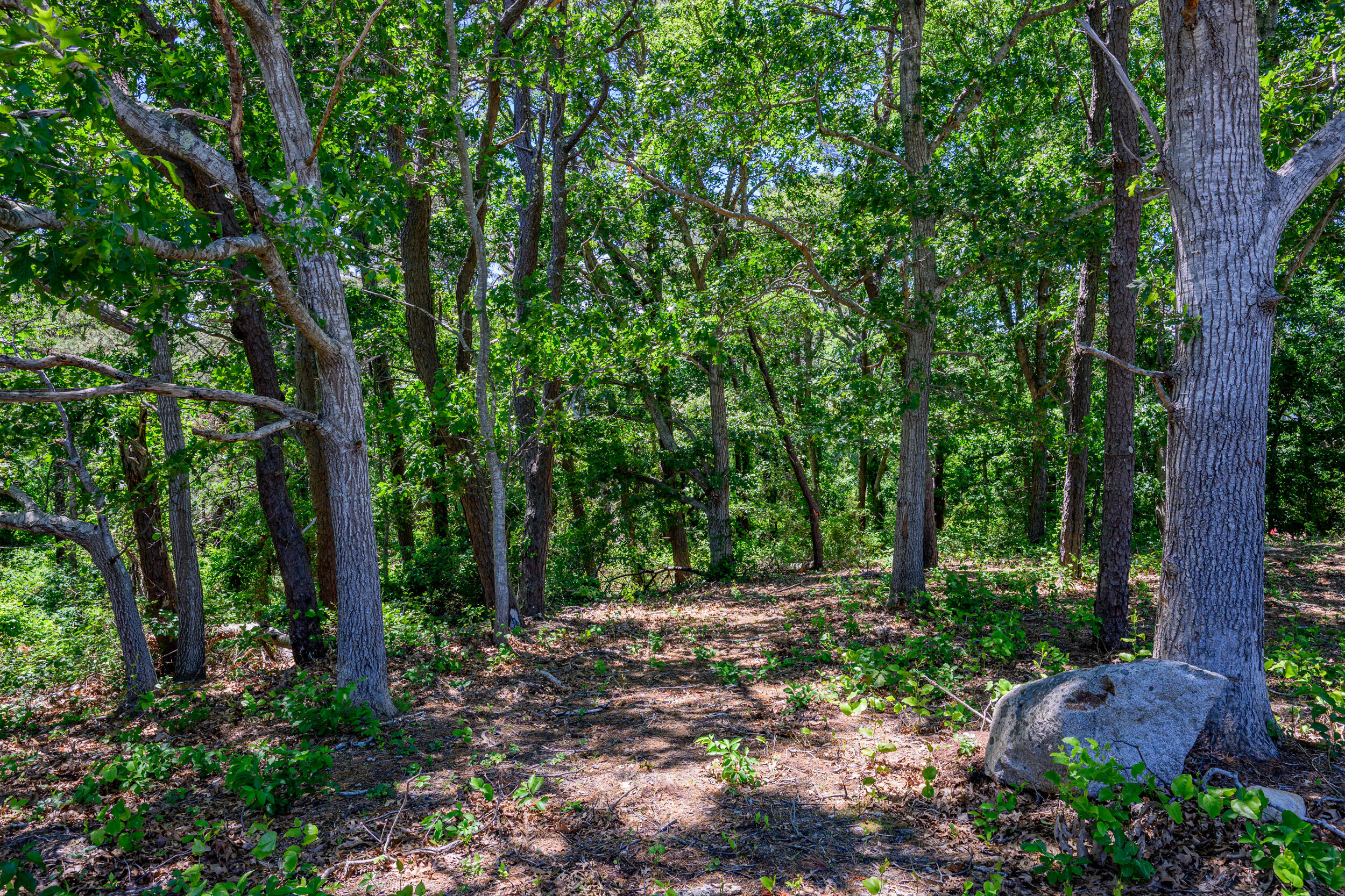 0 Ridgewood Drive Brewster MA 02631