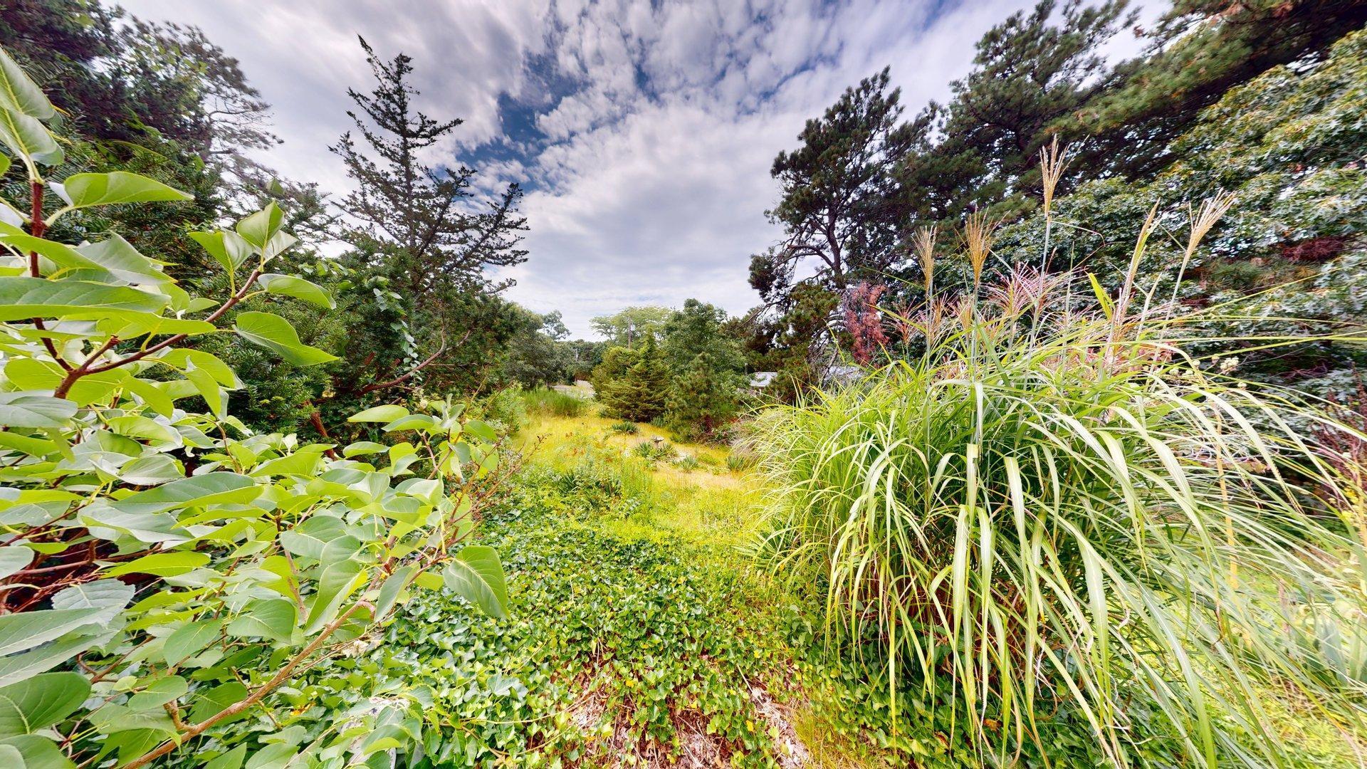 6 Pine Ridge End Road Truro MA 02666