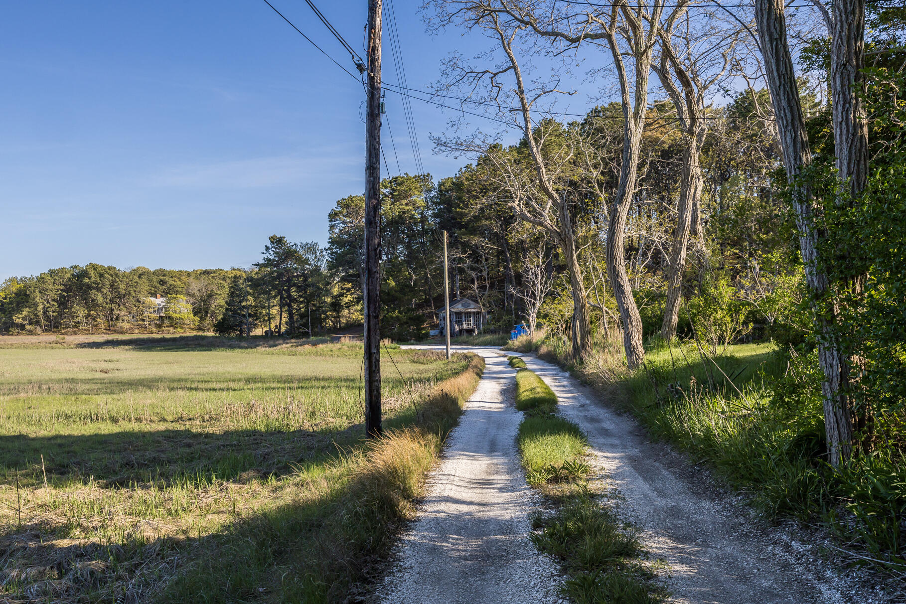 50 Higgins Lane Wellfleet MA 02667