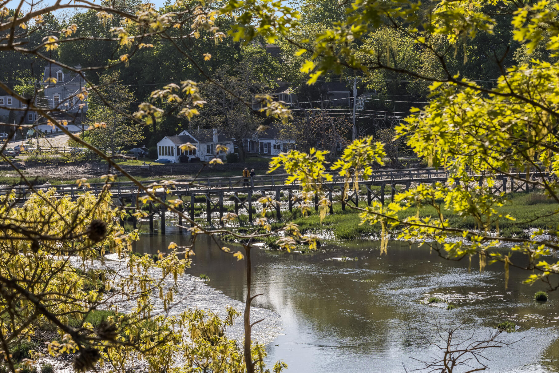 50 Higgins Lane Wellfleet MA 02667