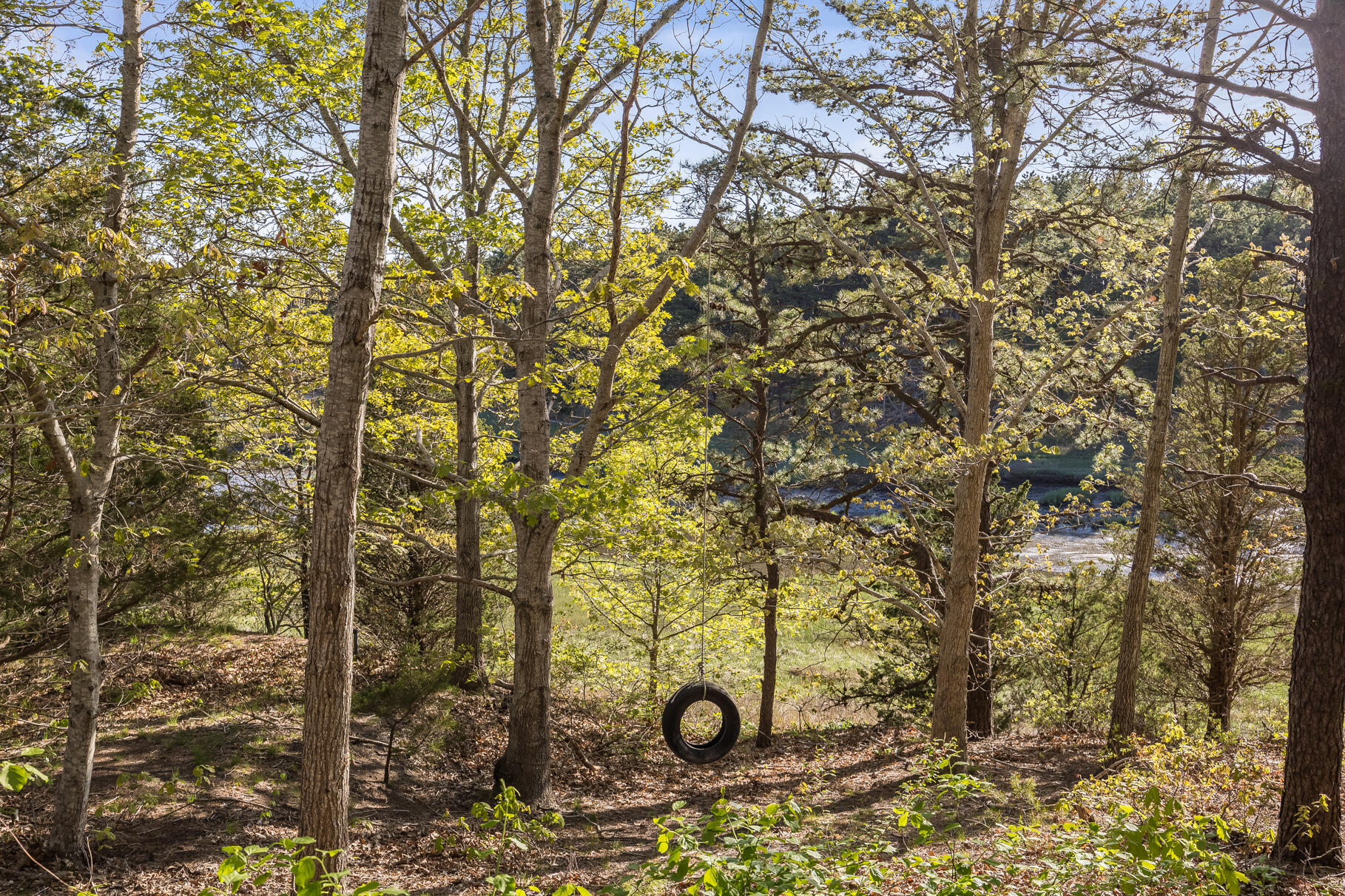 50 Higgins Lane Wellfleet MA 02667