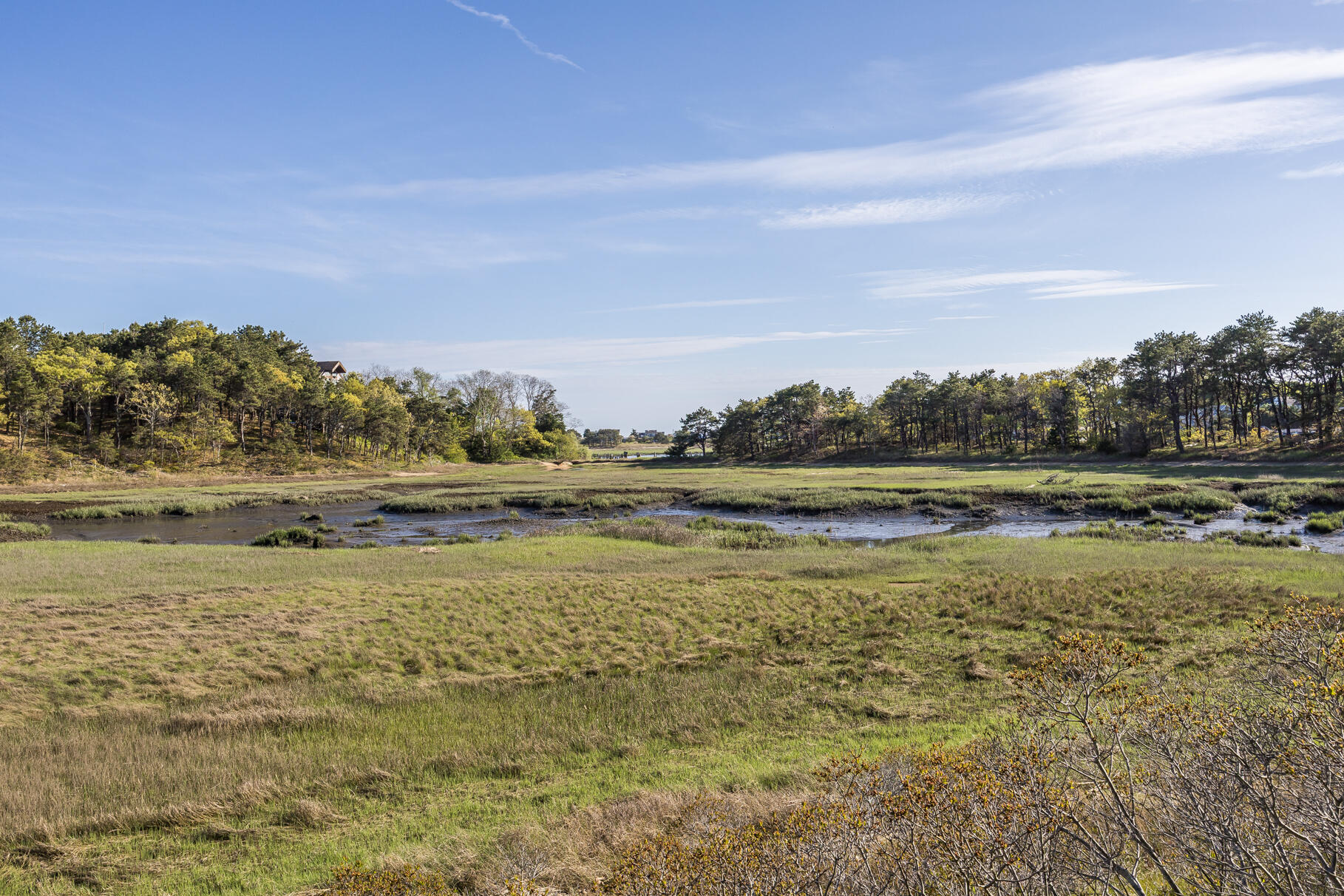 50 Higgins Lane Wellfleet MA 02667