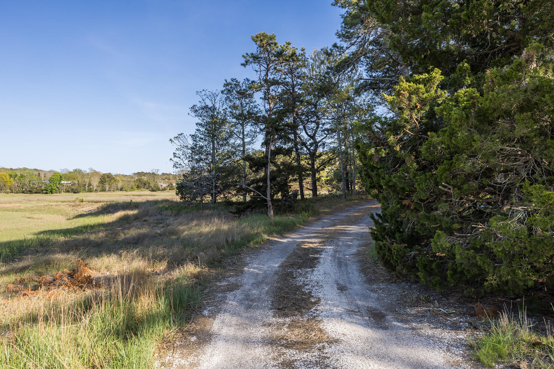 50 Higgins Lane Wellfleet MA 02667