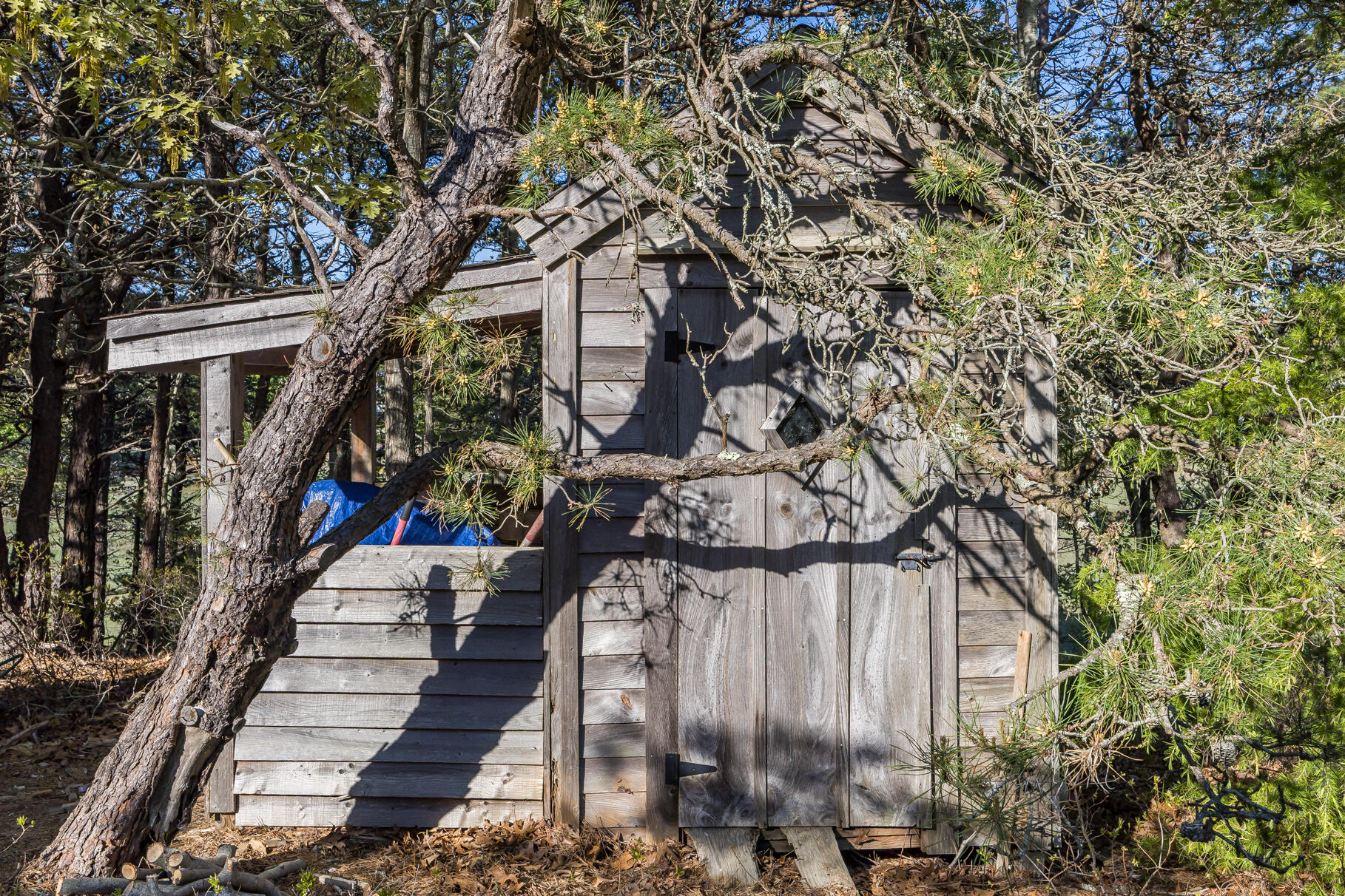 50 Higgins Lane Wellfleet MA 02667