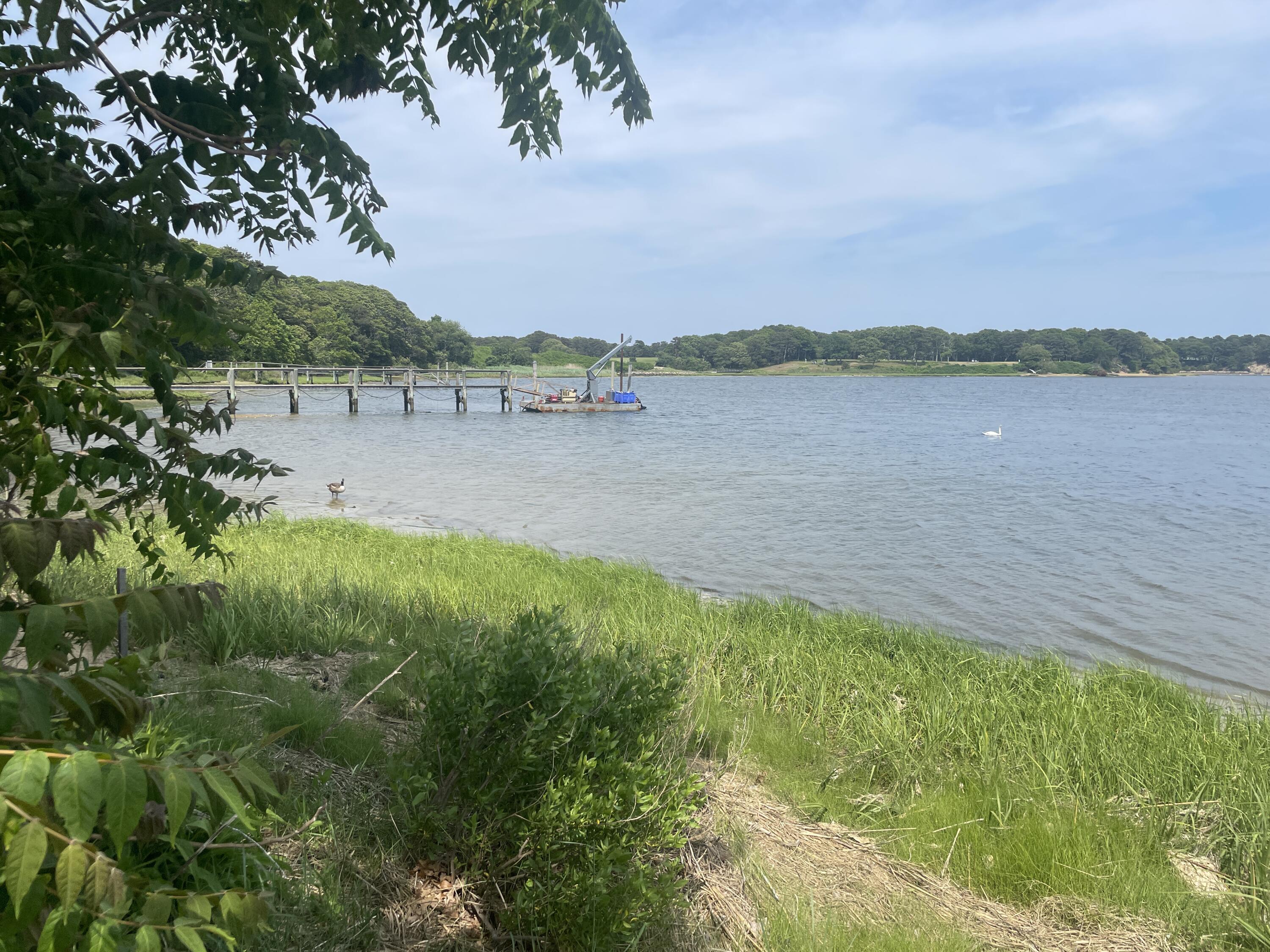 29 Bass River Road South Yarmouth MA 02664
