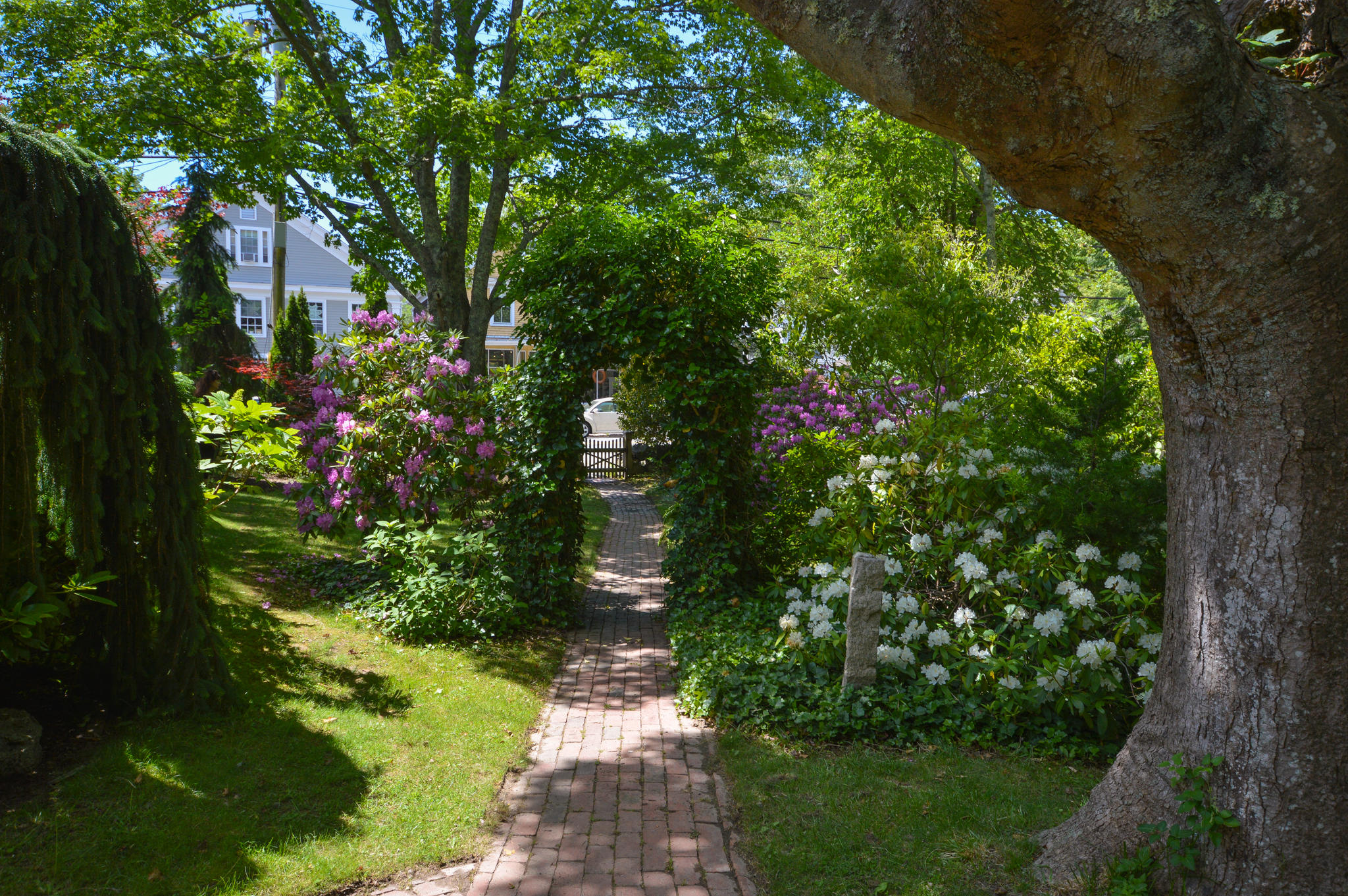 162 Route 6a Yarmouth MA 02675